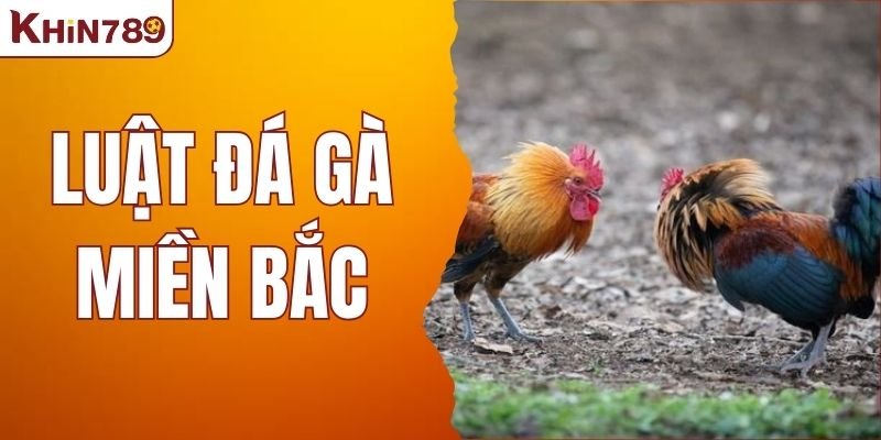 Những Quy Định Cốt Lõi Trong Luật Đá Gà Miền Bắc